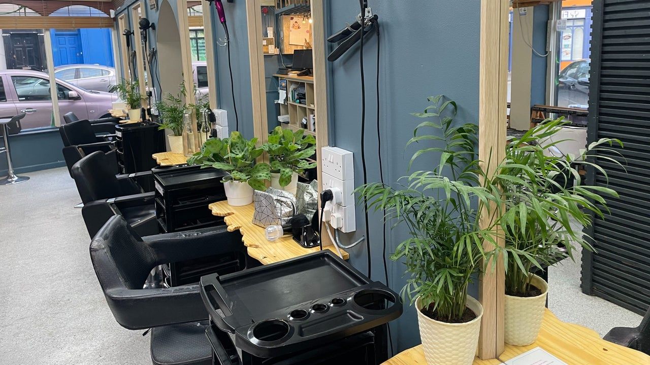 A row of chairs by the window, with plants on the counters